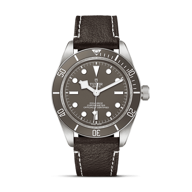 TUDOR Black Bay 58 925 M79010SG-0001