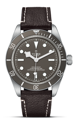 TUDOR Black Bay 58 925 M79010SG-0001