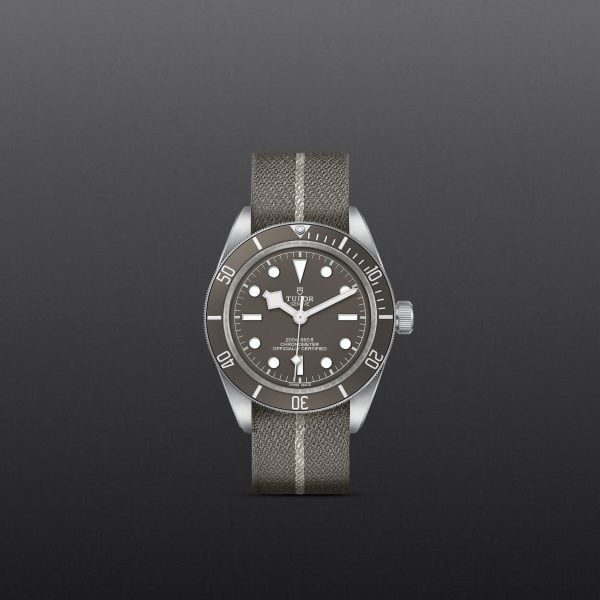 TUDOR Black Bay 58 925 M79010SG-0002