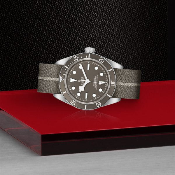 TUDOR Black Bay 58 925 M79010SG-0002 - Image 4