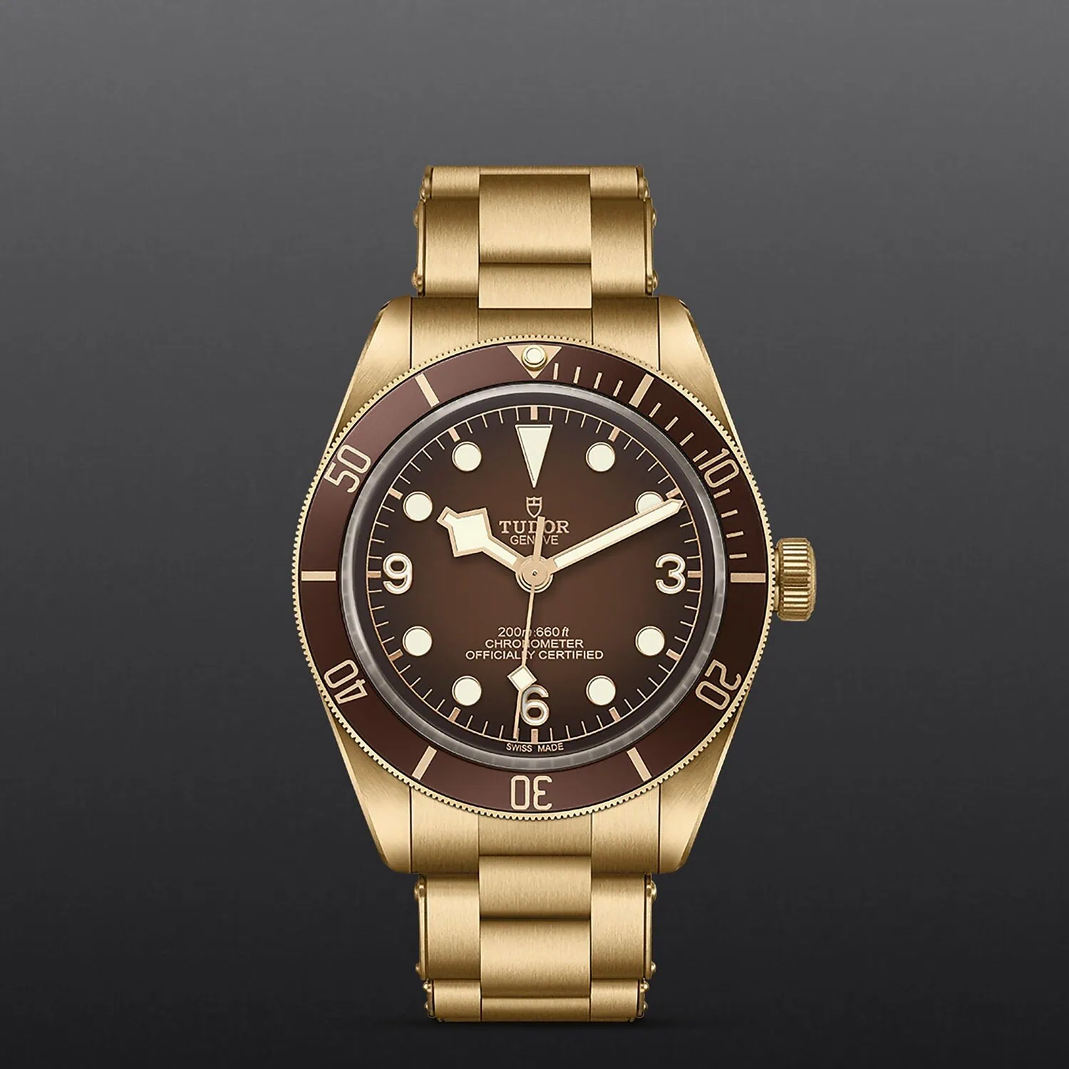 Tudor Black Bay 58 Bronze "Boutique Edition" M79012M-0001
