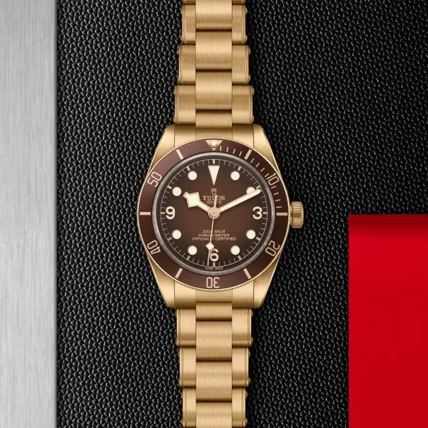 Tudor Black Bay 58 Bronze "Boutique Edition" M79012M-0001 - Image 3