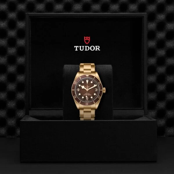 Tudor Black Bay 58 Bronze "Boutique Edition" M79012M-0001 - Image 5