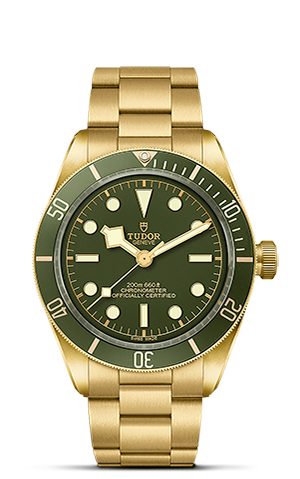 TUDOR Black Bay 58 18K M79018V-0006