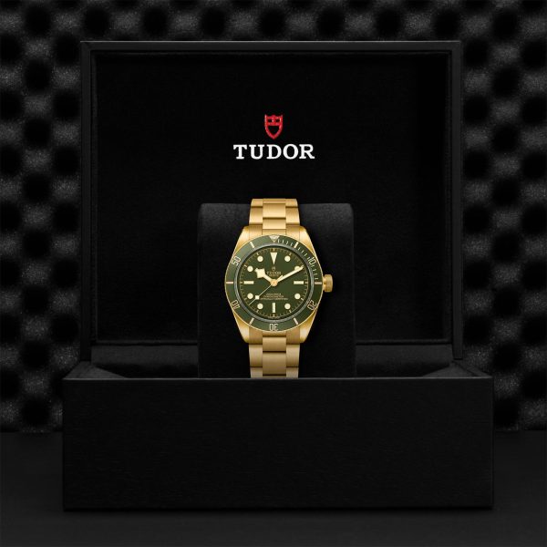 TUDOR Black Bay 58 18K M79018V-0006 - Image 5