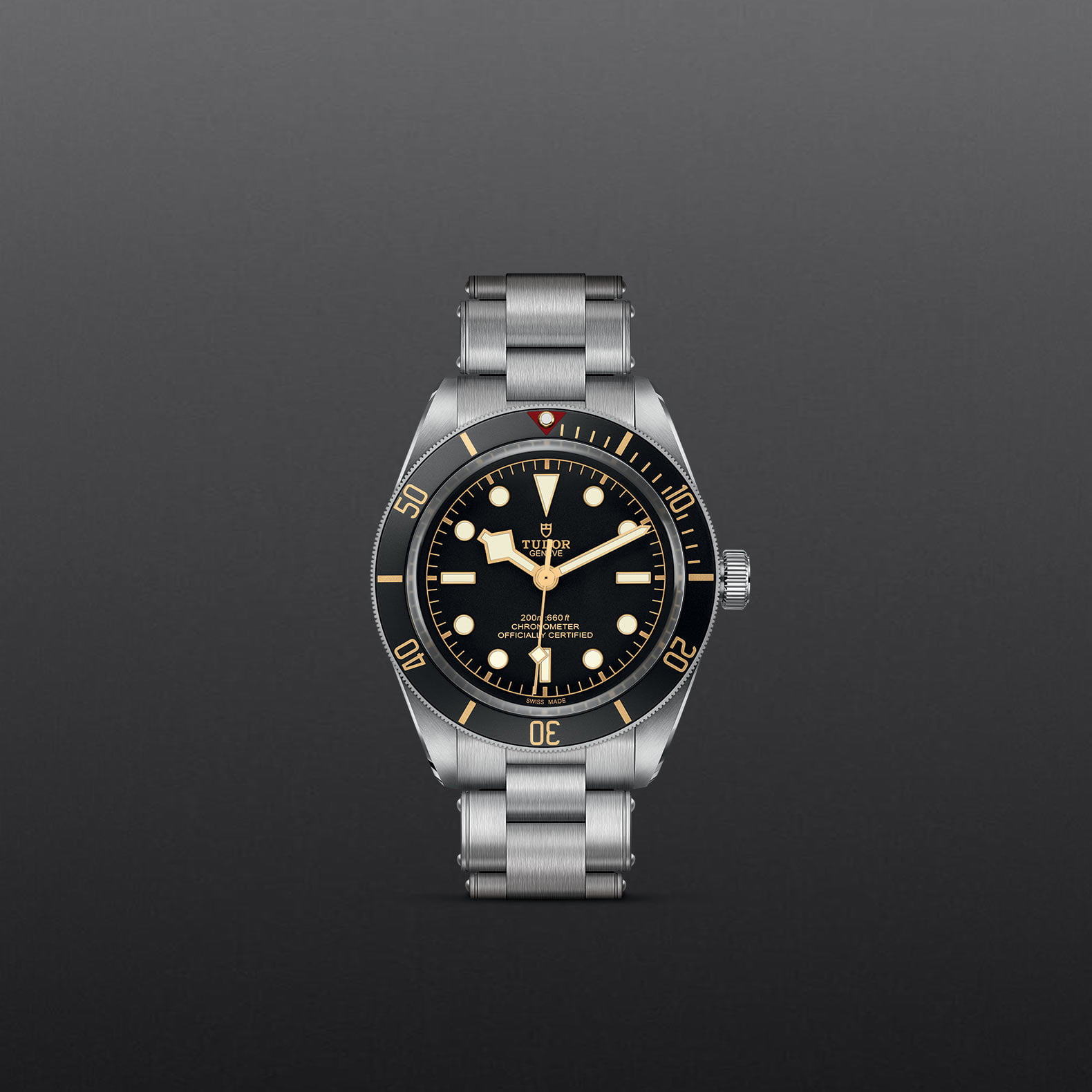 TUDOR Black Bay 58 M79030N-0001