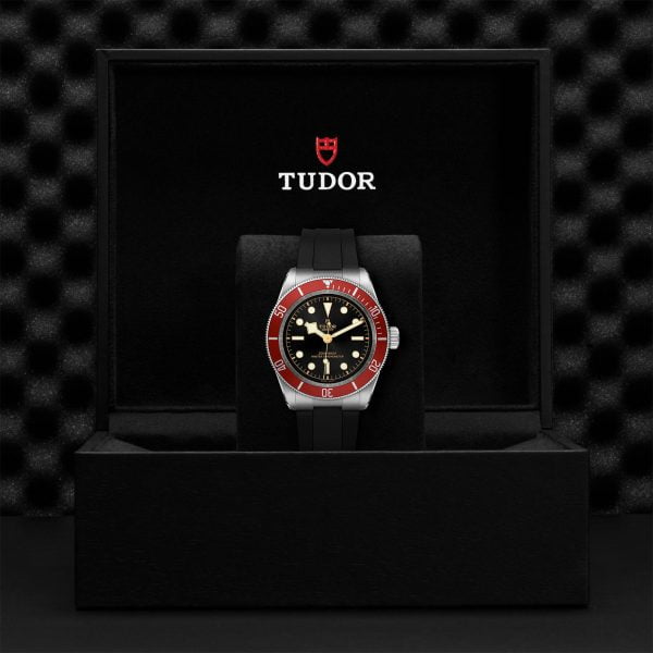 TUDOR Black Bay M7941A1A0RU-0002 - Image 5