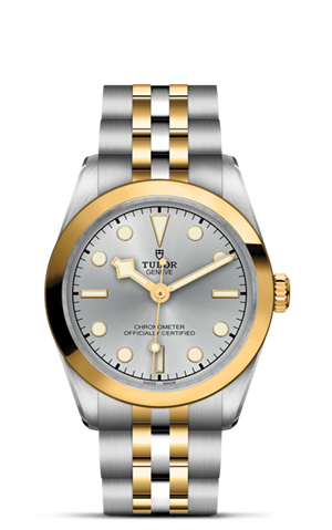 Tudor Black Bay 31 S&G M79603-0002 - Lucerne 