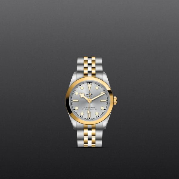 TUDOR Black Bay 31 S&G M79603-0002