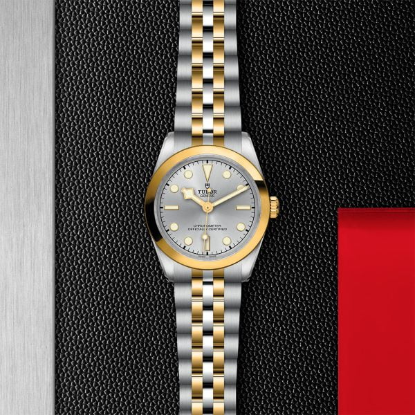 TUDOR Black Bay 31 S&G M79603-0002 - Image 3