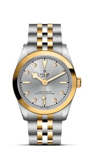 TUDOR Black Bay 31 S&G M79603-0007
