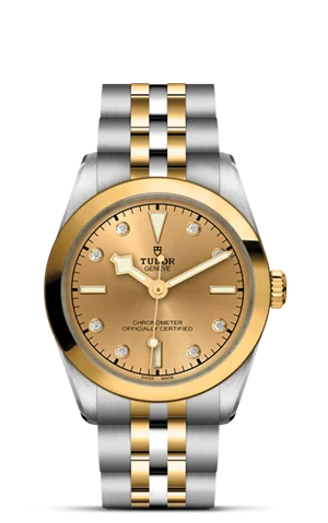 TUDOR Black Bay 31 S&G M79603-0008