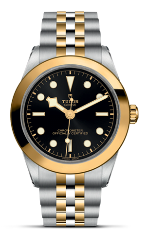 Tudor Black Bay 39 S&G M79663-0001 - Lucerne 