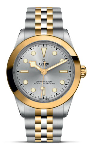 Tudor Black Bay 39 S&G M79663-0002 - Lucerne 