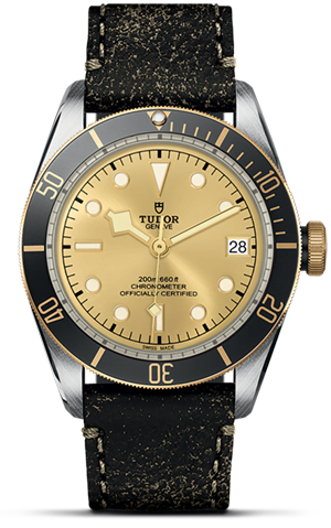 TUDOR Black Bay S&G M79733N-0003