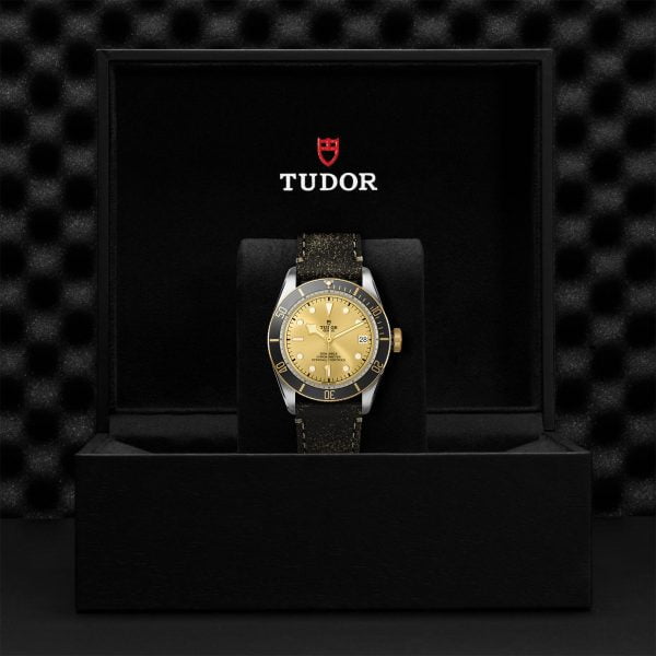 TUDOR Black Bay S&G M79733N-0003 - Image 5
