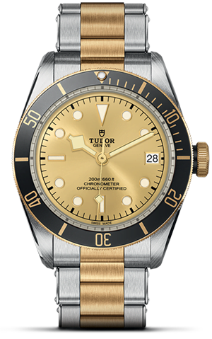 TUDOR Black Bay S&G M79733N-0004