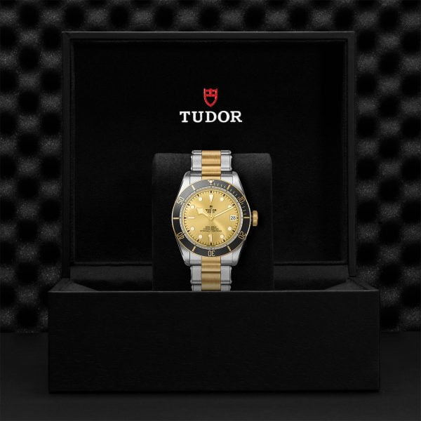 TUDOR Black Bay S&G M79733N-0004 - Image 5