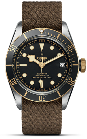TUDOR Black Bay S&G M79733N-0005