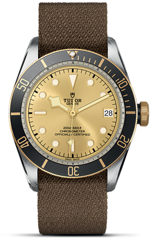 TUDOR Black Bay S&G M79733N-0006