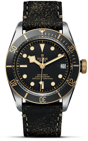 TUDOR Black Bay S&G M79733N-0007