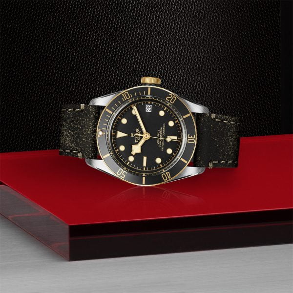 TUDOR Black Bay S&G M79733N-0007 - Image 4