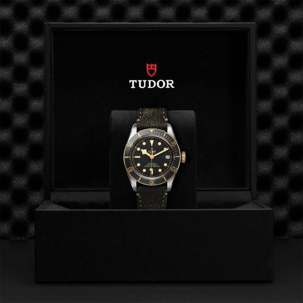 TUDOR Black Bay S&G M79733N-0007 - Image 5