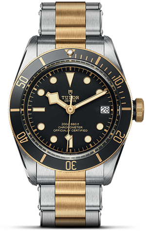 TUDOR Black Bay S&G M79733N-0008