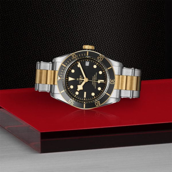TUDOR Black Bay S&G M79733N-0008 - Image 4