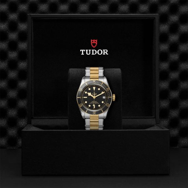 TUDOR Black Bay S&G M79733N-0008 - Image 5