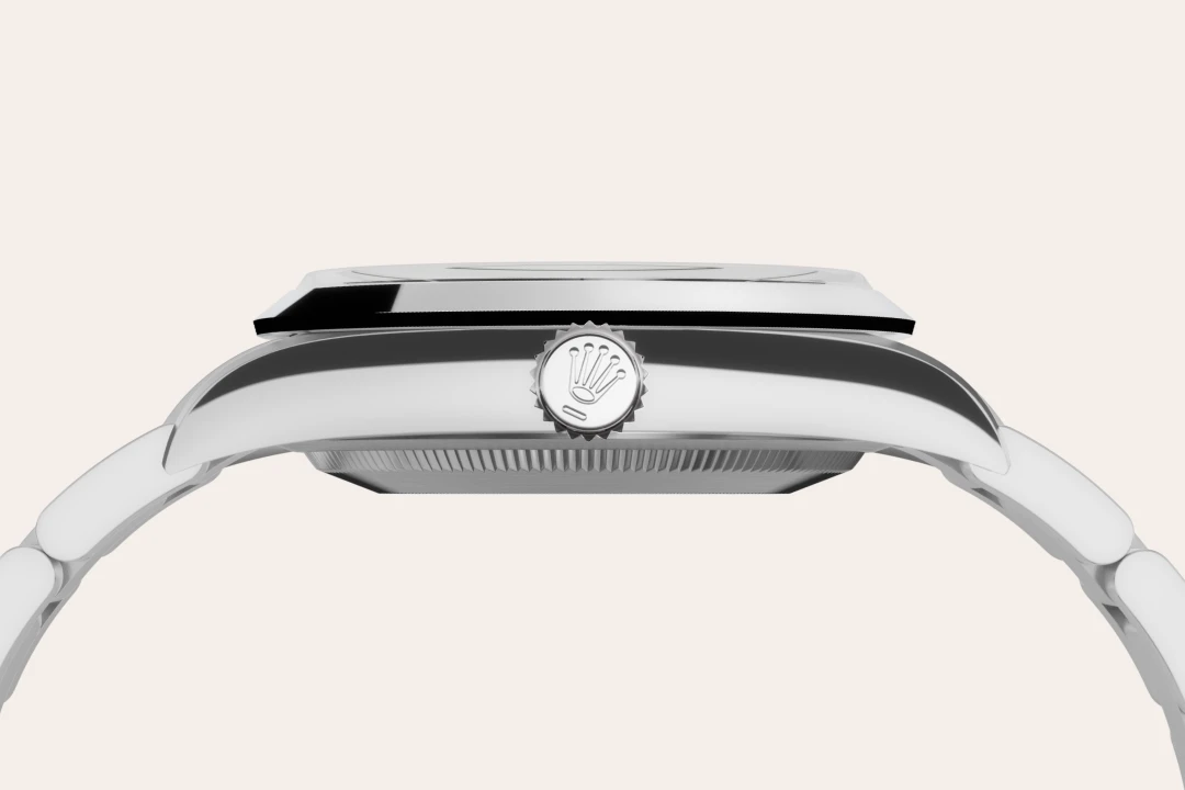 Rolex Oystersteel - Lucerne Watches