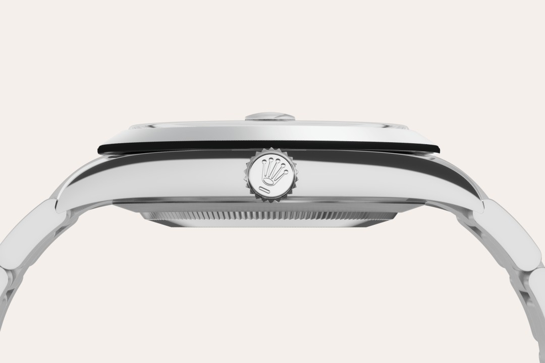 Rolex Oystersteel - Lucerne Watches