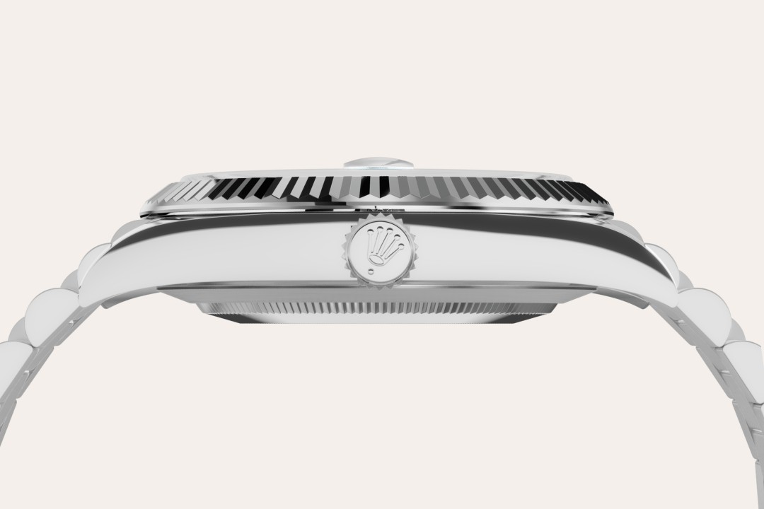 Rolex Platinum - Lucerne Watches