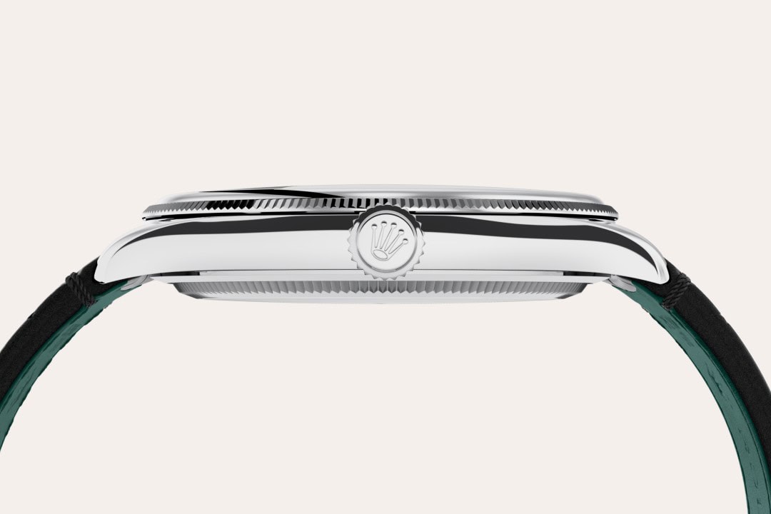 Rolex Platinum - Lucerne Watches