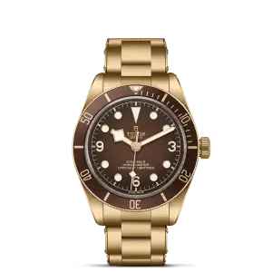 Tudor Black Bay 58 Bronze "Boutique Edition" M79012M-0001